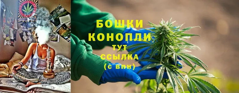 Бошки марихуана Ganja  наркота  omg сайт  Бородино 